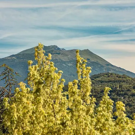 Giuliana Апартаменты